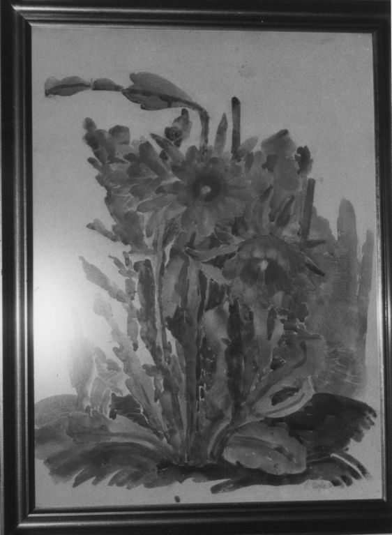 A. Stegler 1930. Kaktus